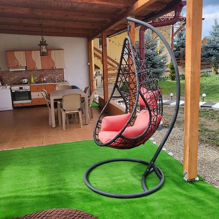 Vila primitoare cu jacuzzi și ciubăr Villa Satu Mare Exterior foto