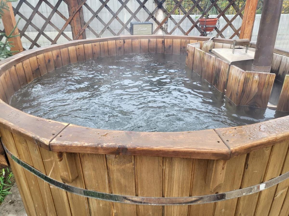 Vila primitoare cu jacuzzi și ciubăr Villa Satu Mare Exterior foto